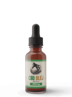 CBD oil for horses | www.GreenHemp.pl