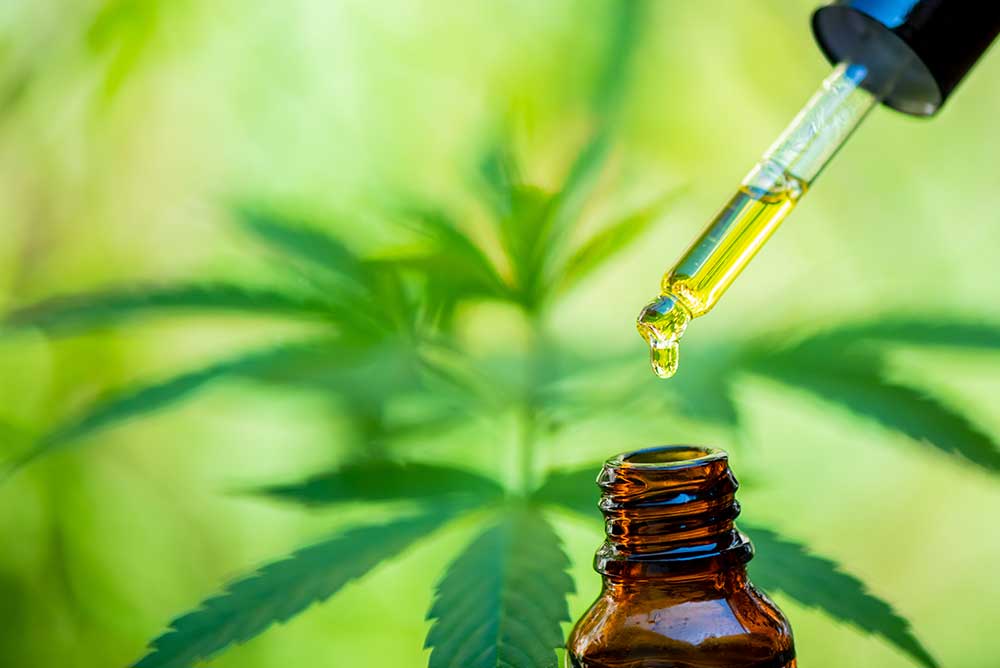 Read more about the article Effects of CBD oils on diseases