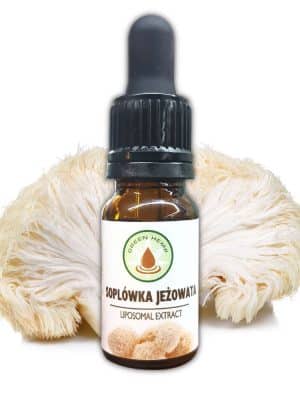 Soplowka jezowata greenhemp sklep cbd | www.greenhemp.pl